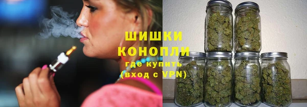 дмт Мегион