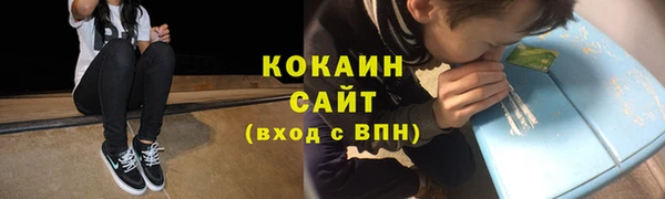 дмт Мегион