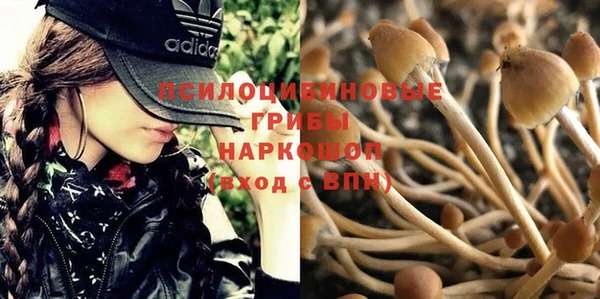 а пвп мука Медногорск