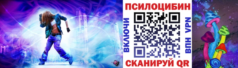 Псилоцибиновые грибы мицелий  Нефтекумск 