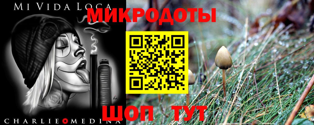 Псилоцибиновые грибы Cubensis Нефтекумск